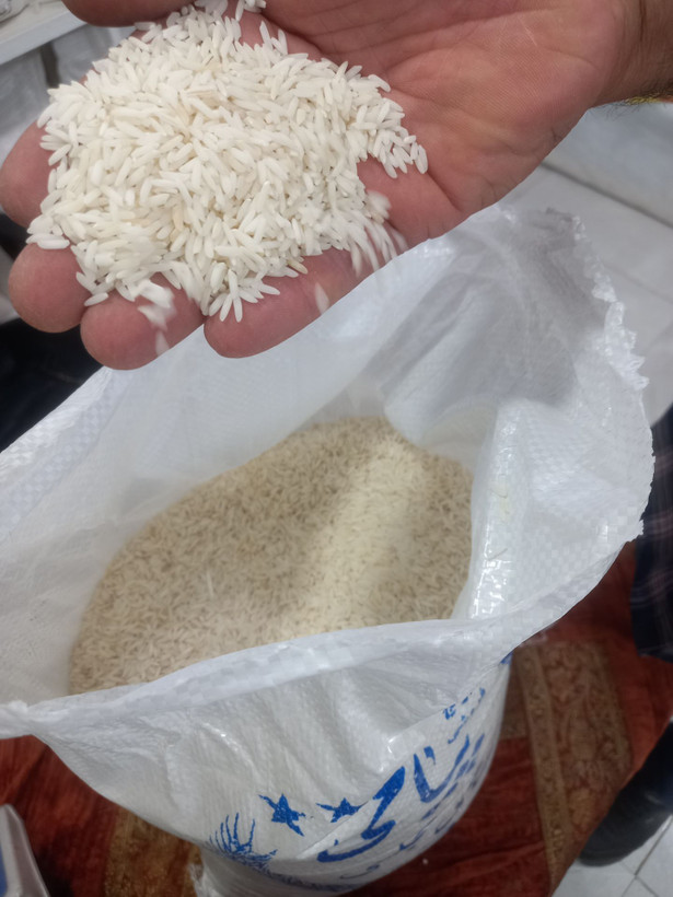 برنج هاشمی مجلسی